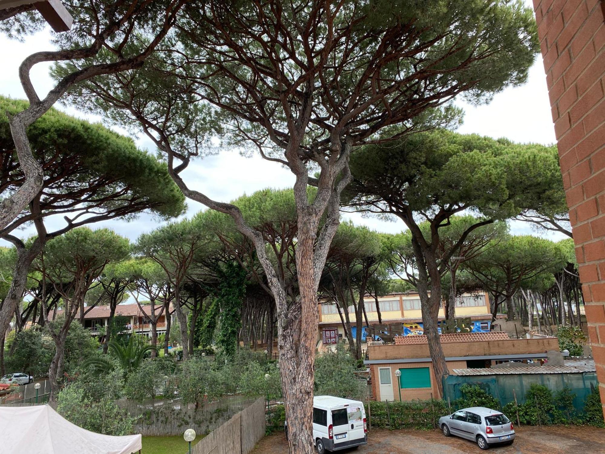 Eden Appartement
